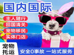 威海航空物流国际宠物托运 【国